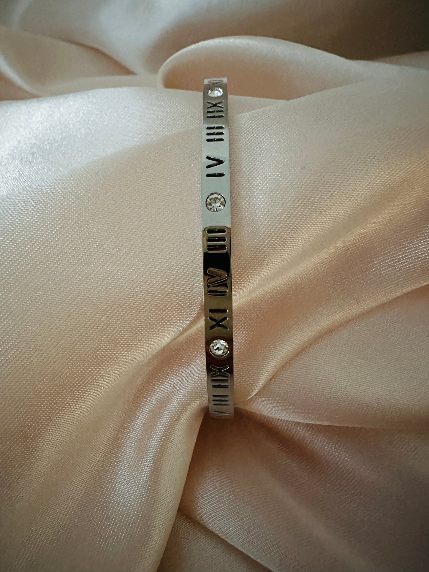 Trivia Stainless Steel Silver Bangle