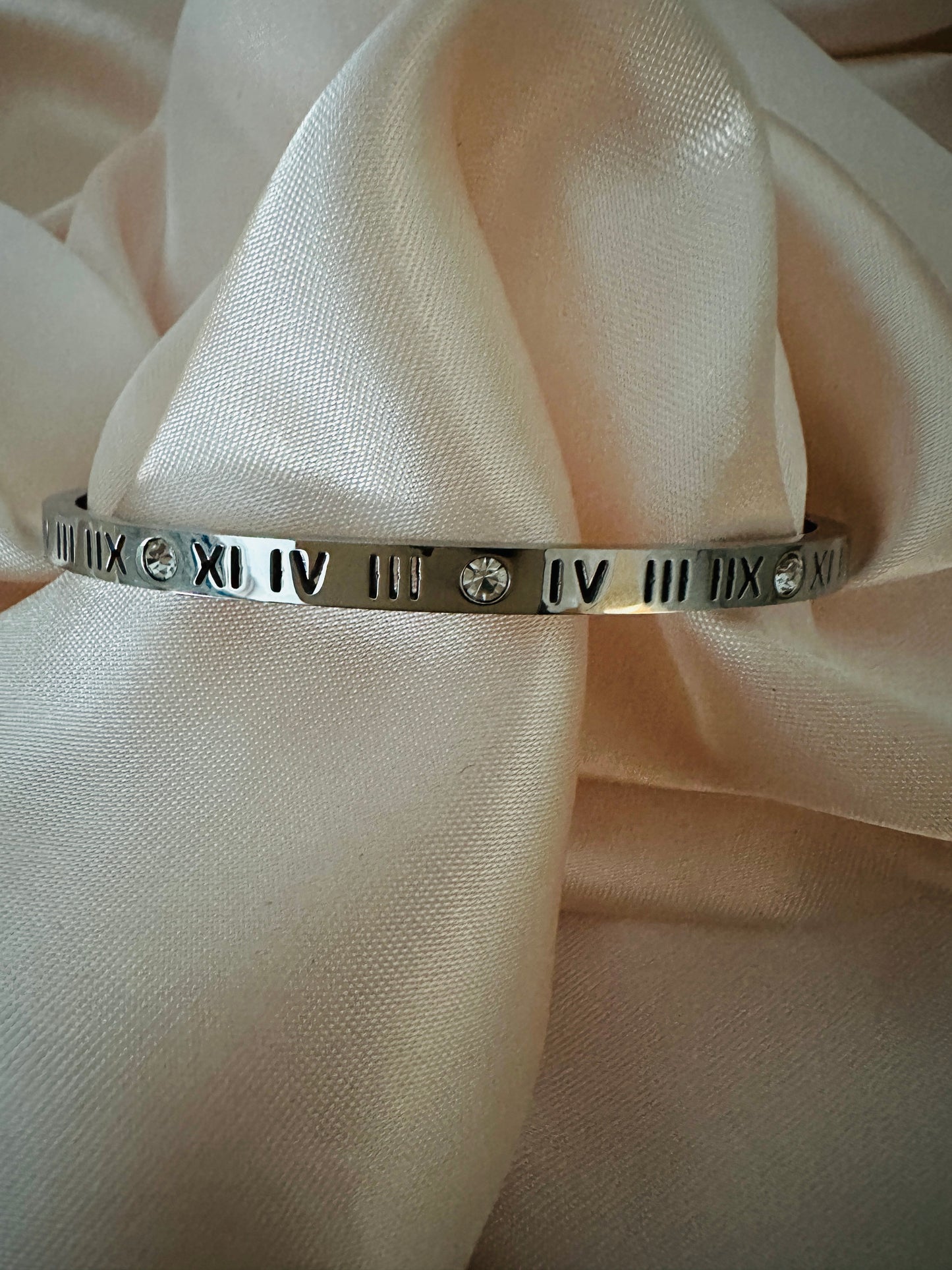 Trivia Stainless Steel Silver Bangle